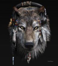Gray Wolf